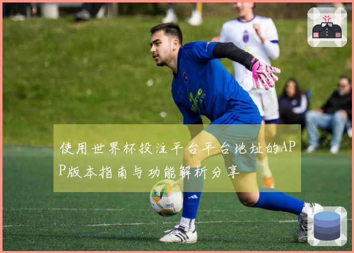 使用世界杯投注平台平台地址的APP版本指南与功能解析分享