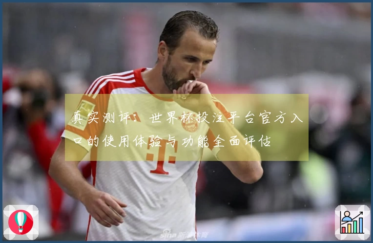 真实测评：世界杯投注平台官方入口的使用体验与功能全面评估