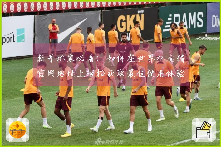 新手玩家必看:如何在世界杯竞猜官网地址上轻松获取最佳使用体验