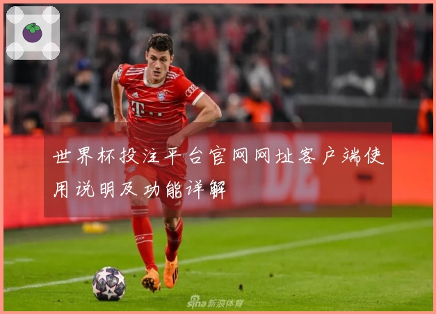 世界杯投注平台官网网址客户端使用说明及功能详解